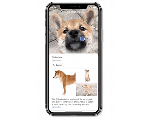 Visual Search Google Lens