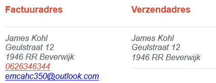Voorbeeld fake lead 1