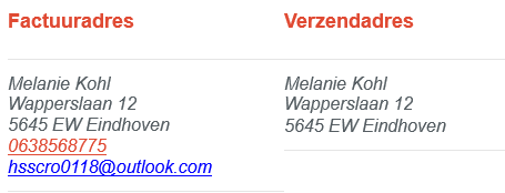 Voorbeeld fake lead 2
