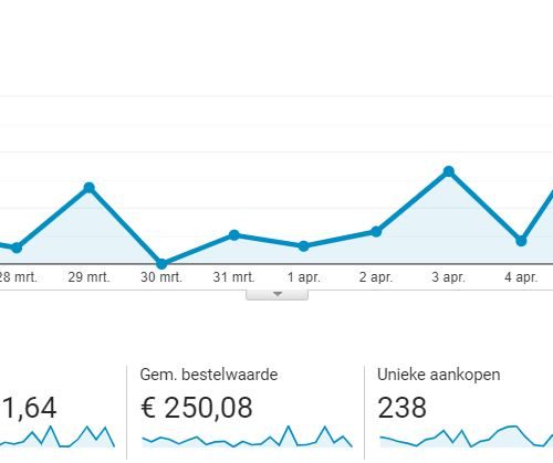 E-commerce Google Analytics